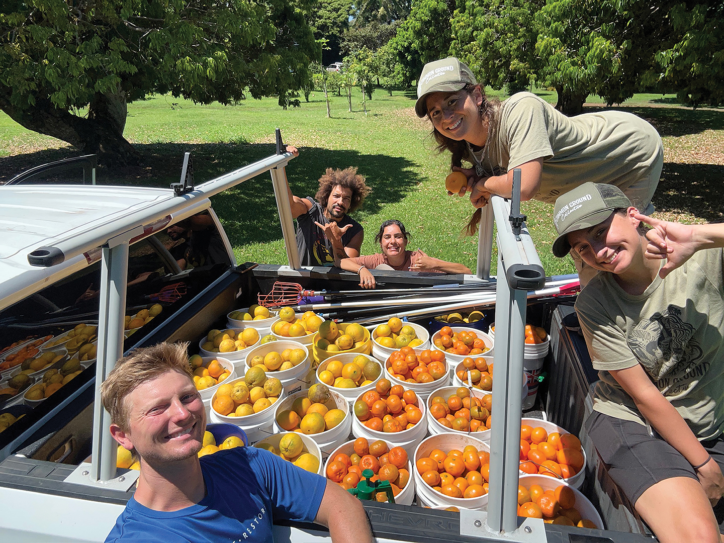 fruit picking
