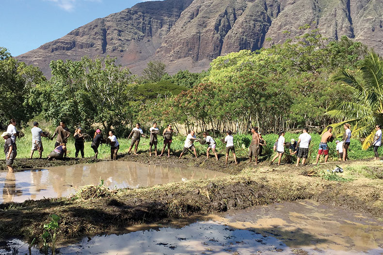 group of volunteers