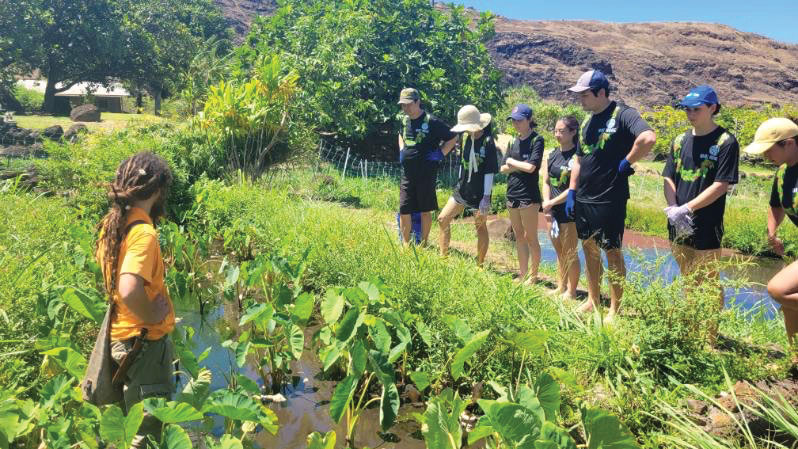 JABSOM students in the visited Ka‘ala Farm