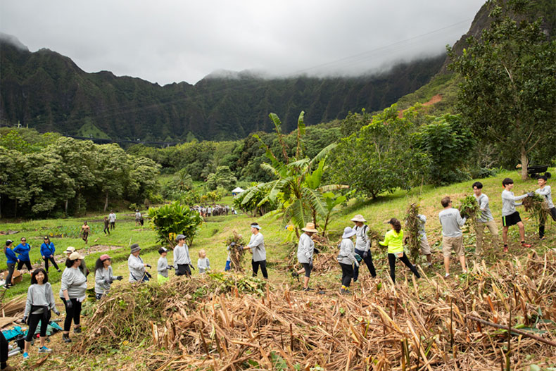 Volunteers passing vegetation down a line at Papahana Kuaola